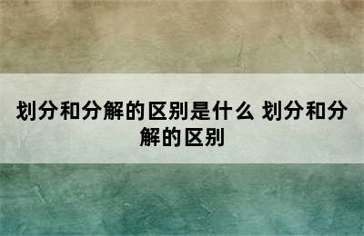 划分和分解的区别是什么 划分和分解的区别